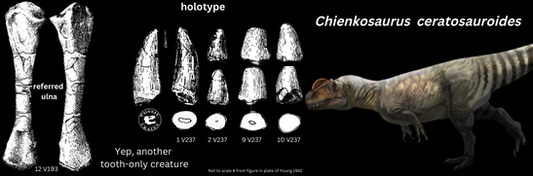 Chienkosaurus ceratosauroides - a dinosaur you've likely not heard of!