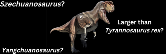 Larger than Tyrannosaurus rex?