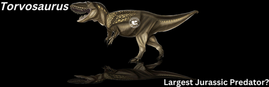 Largest Jurassic Predator? Meet Torvosaurus! - Fossil Crates