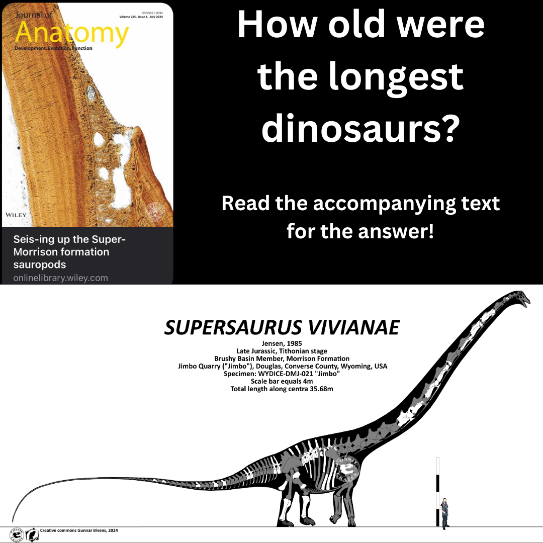 Seis-ing up the Super-Morrison Formation sauropods