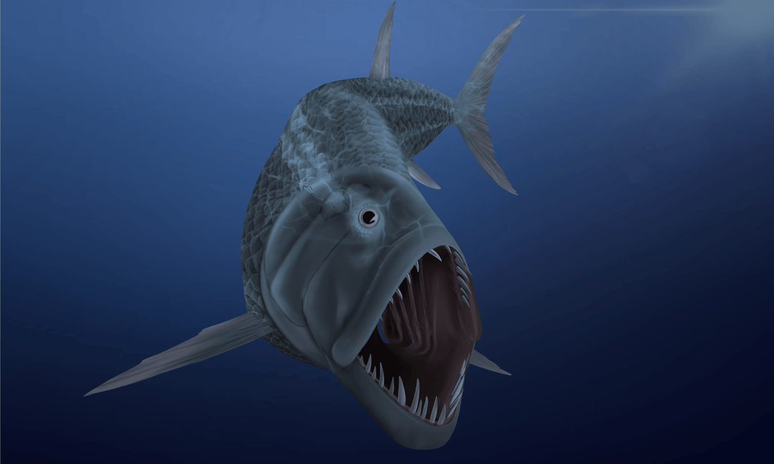 Xiphactinus audax, the largest predatory bony fish, was warm-blooded - Fossil Crates