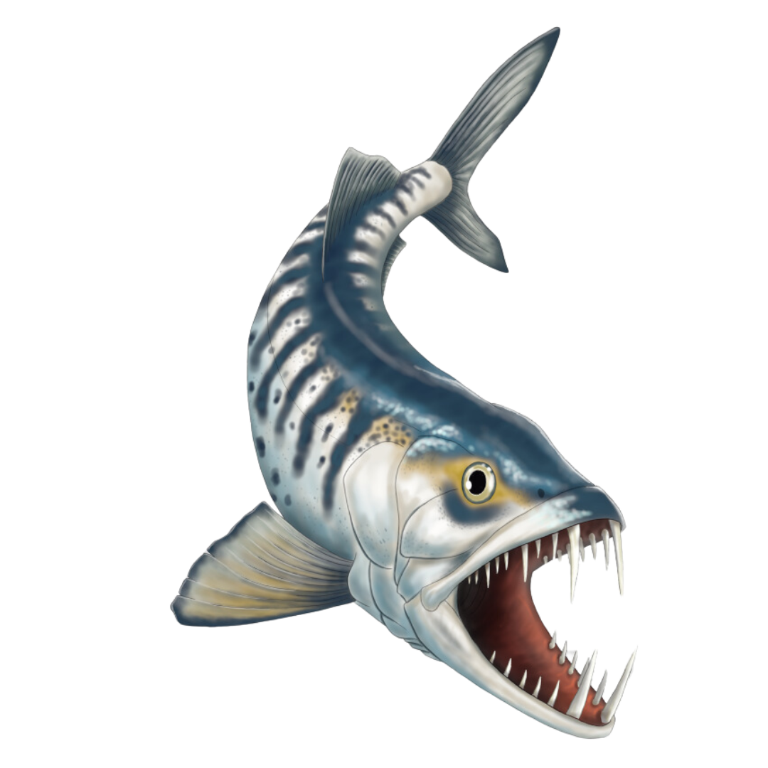 Enchodus: Saber-toothed Fish of the Cretaceous Seas