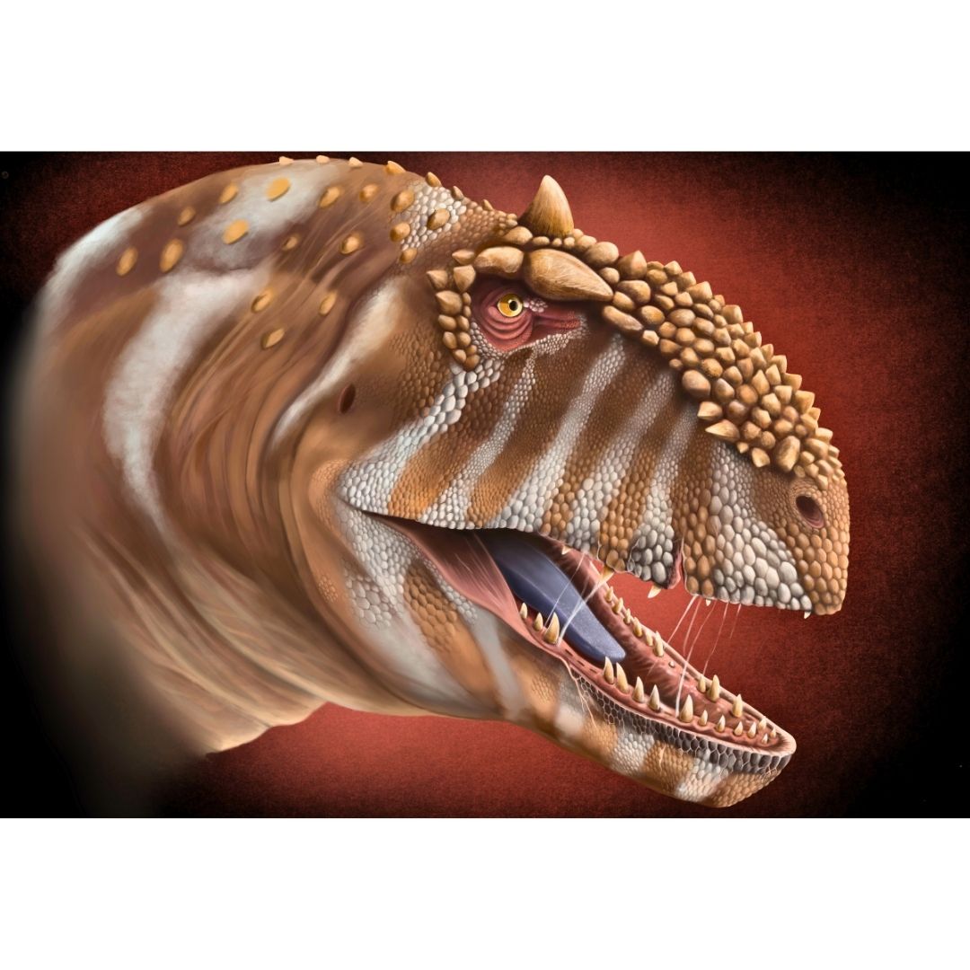 Majungasaurus Portrait