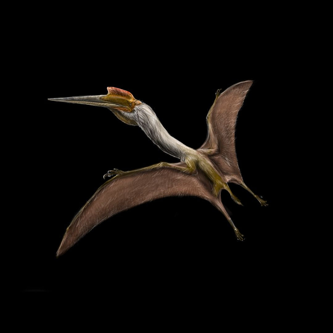 Quetzalcoatlus Flying Paleoart