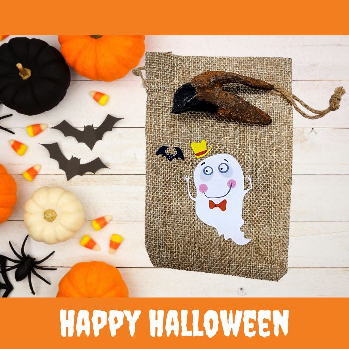 Triceratops Tooth Cast with Halloween Gift Bag and Artwork - Ghost