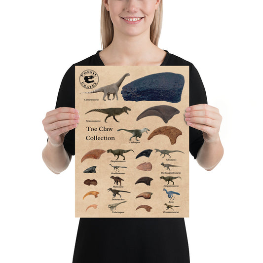 Claws for Every Cause: Dinosaur Toe Claw Poster