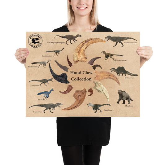 Grasping the Past: Dinosaur Hand Claw Poster