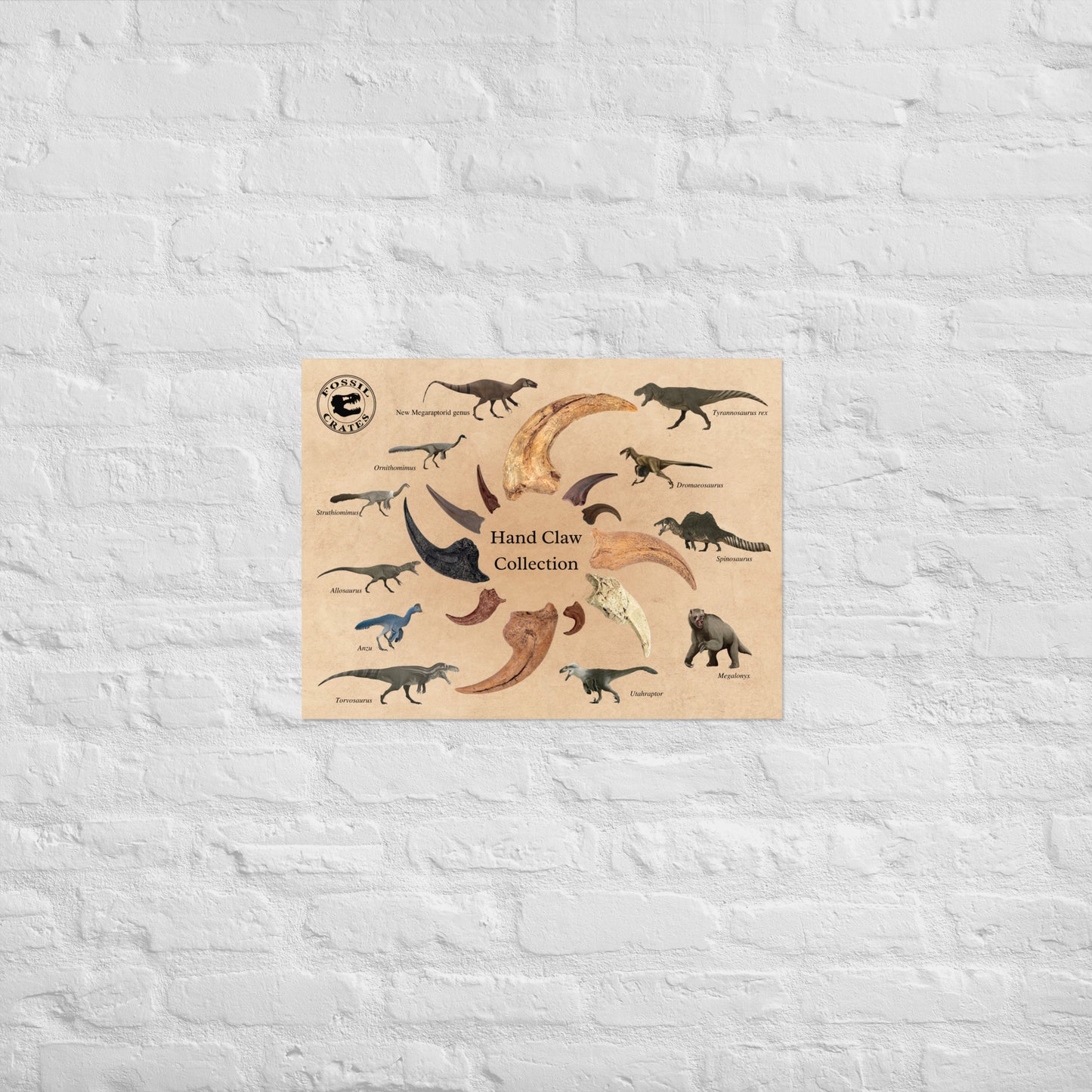 Grasping the Past: Dinosaur Hand Claw Poster