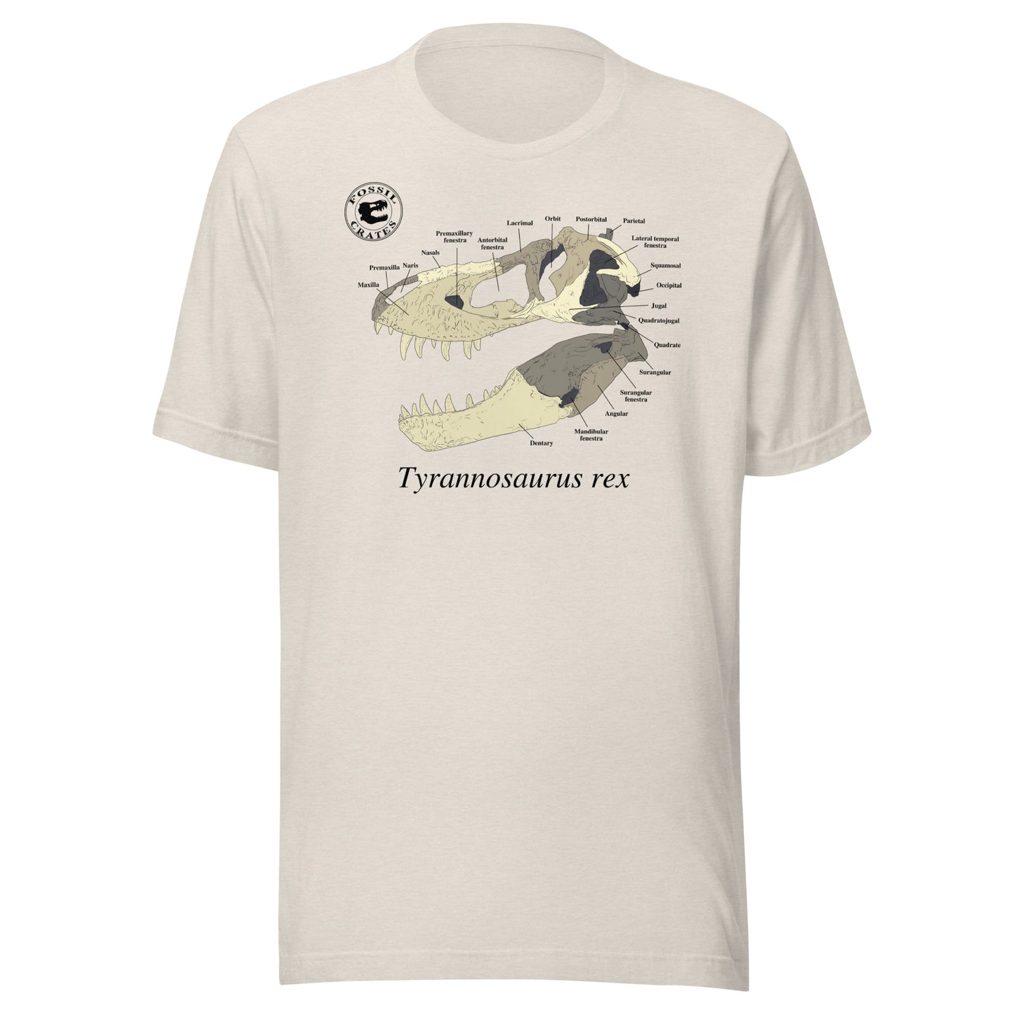 Tyrannosaurus rex Skull Anatomy T-shirt Heather Dust