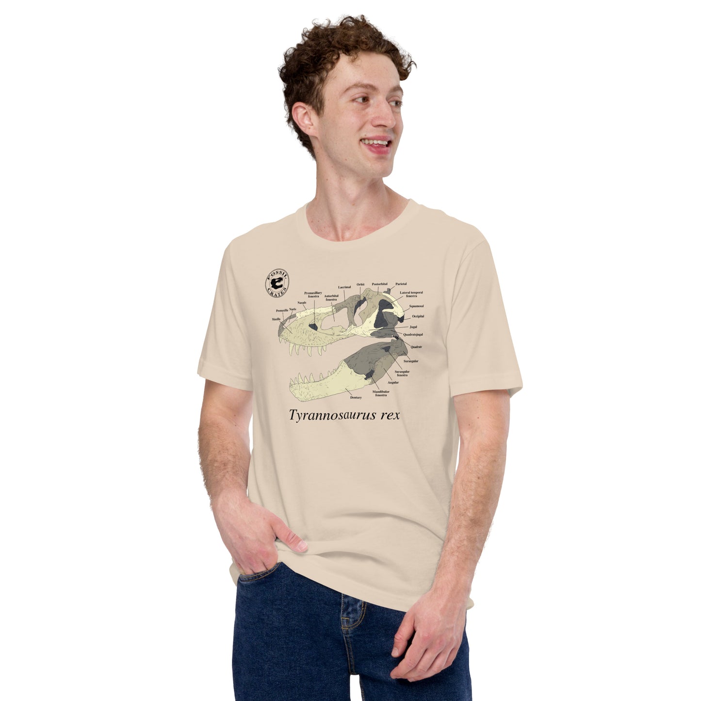 Tyrannosaurus rex Skull Anatomy T-shirt Soft Cream