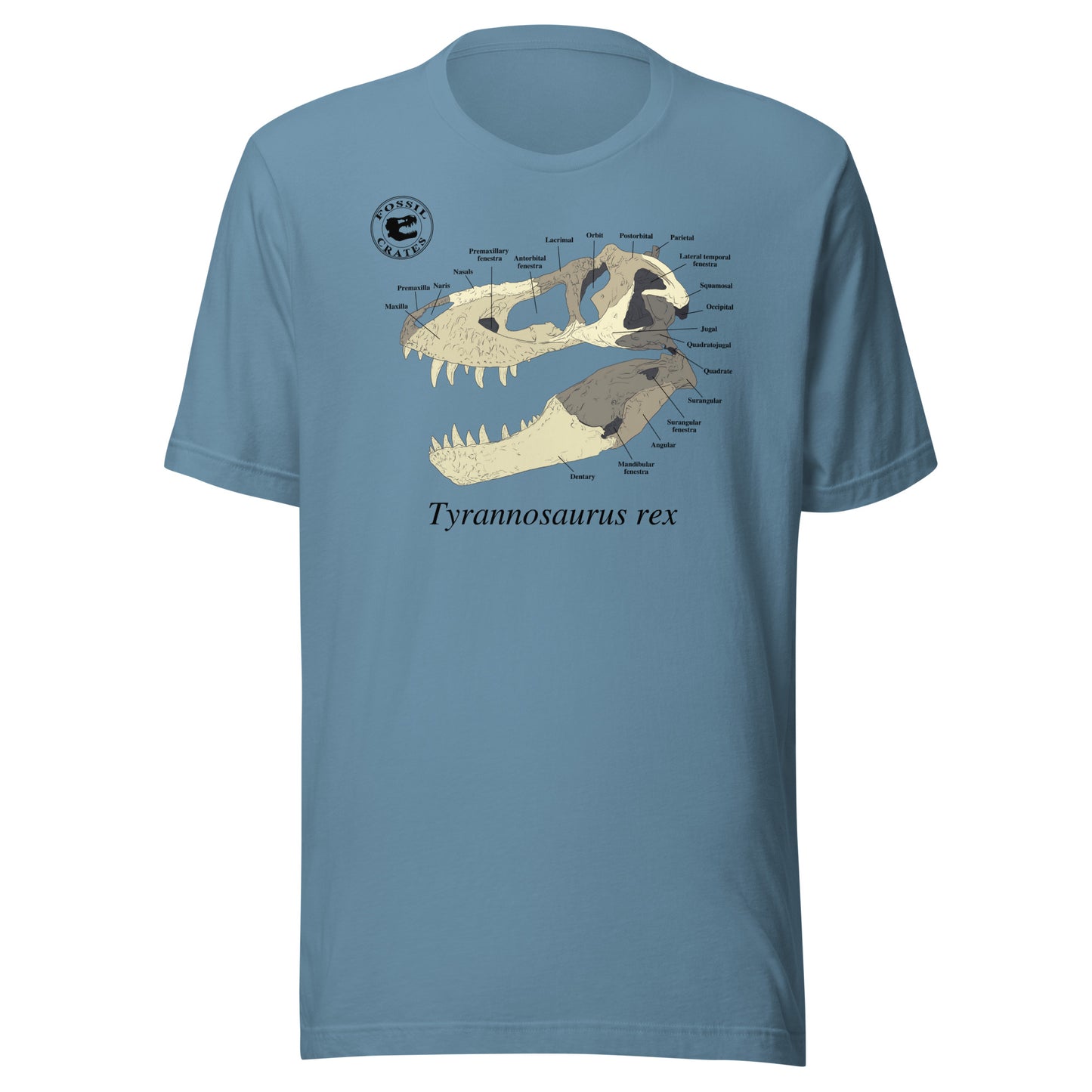 Tyrannosaurus rex Skull Anatomy T-shirt Steel Blue