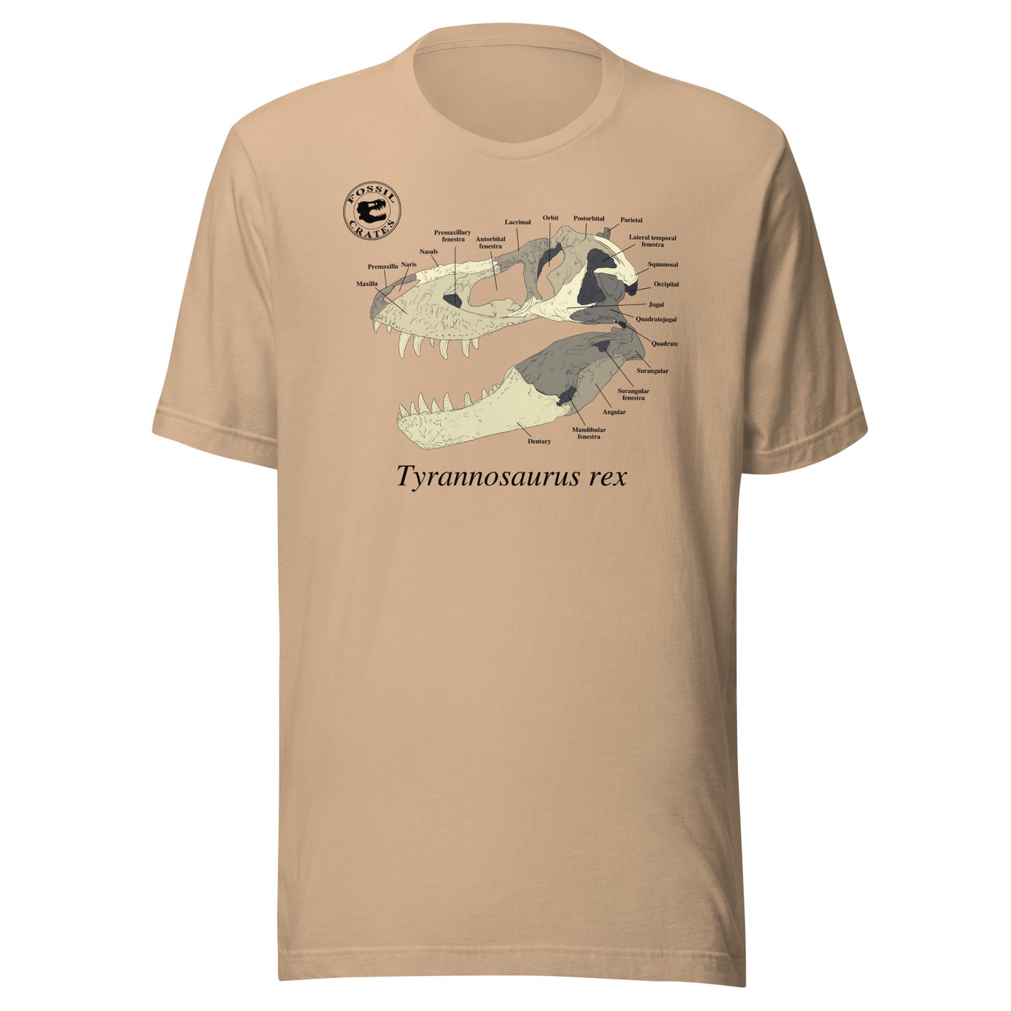 Tyrannosaurus rex Skull Anatomy T-shirt Tan