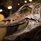 Thescelosaurus life-sized skull cast