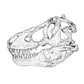 Exclusive paleoart of a T. rex skull that comes with the Tyrannosaurus rex Crate