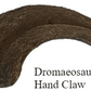 Dromaeosaurus Crate - Deadliest Late Cretaceous Raptor - Fossil Crates