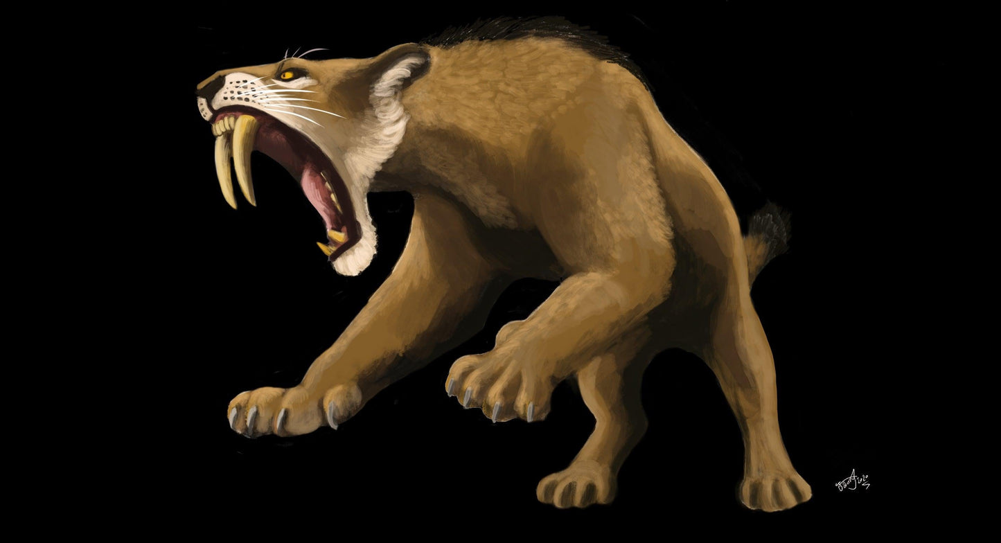 Smilodon vs Megalonyx Crate - Fossil Crates Smilodon Sabers
