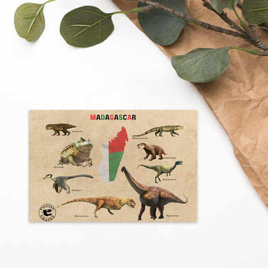 Madagascar Animals Postcard