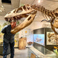Torvosaurus Tooth Cast and Artwork - Fossil Crates Dinosaur tooth cast