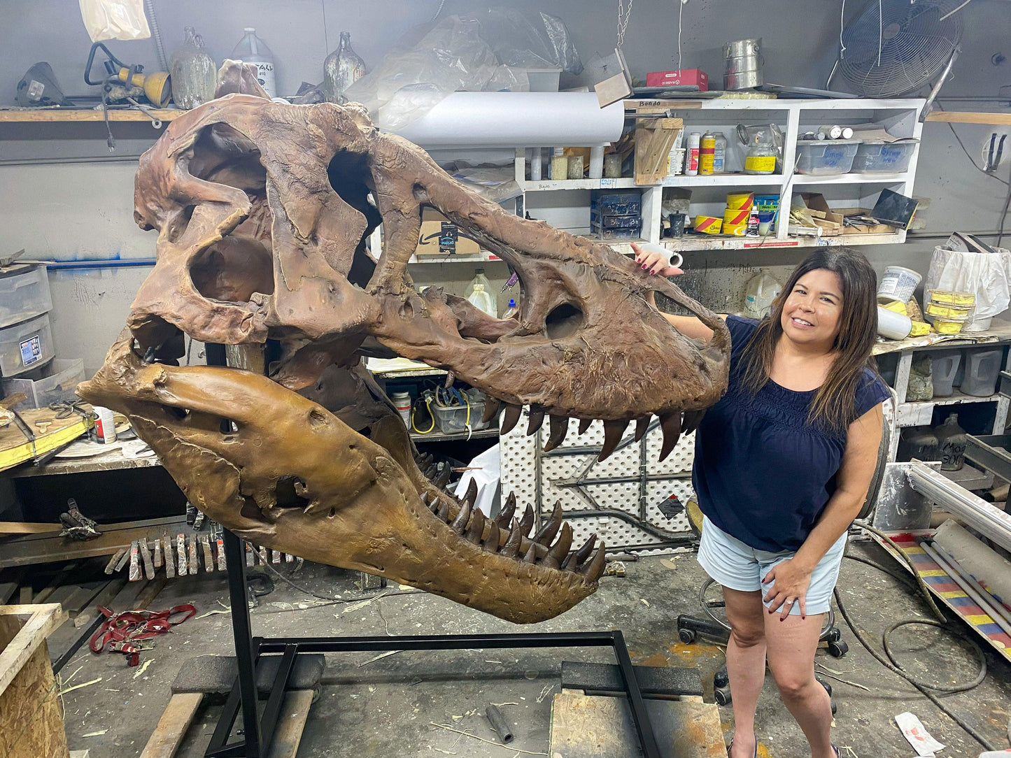 Tyrannosaurus, T. rex Skull Cast for Sale by Fossil Crates