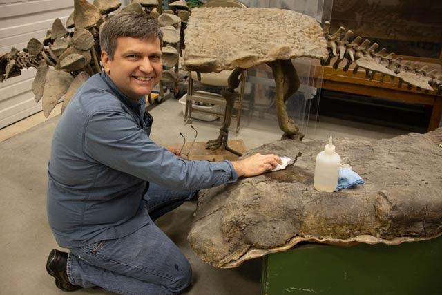 Video Chat with a Paleontologist - Fossil Crates Video Chat with a Paleontologist