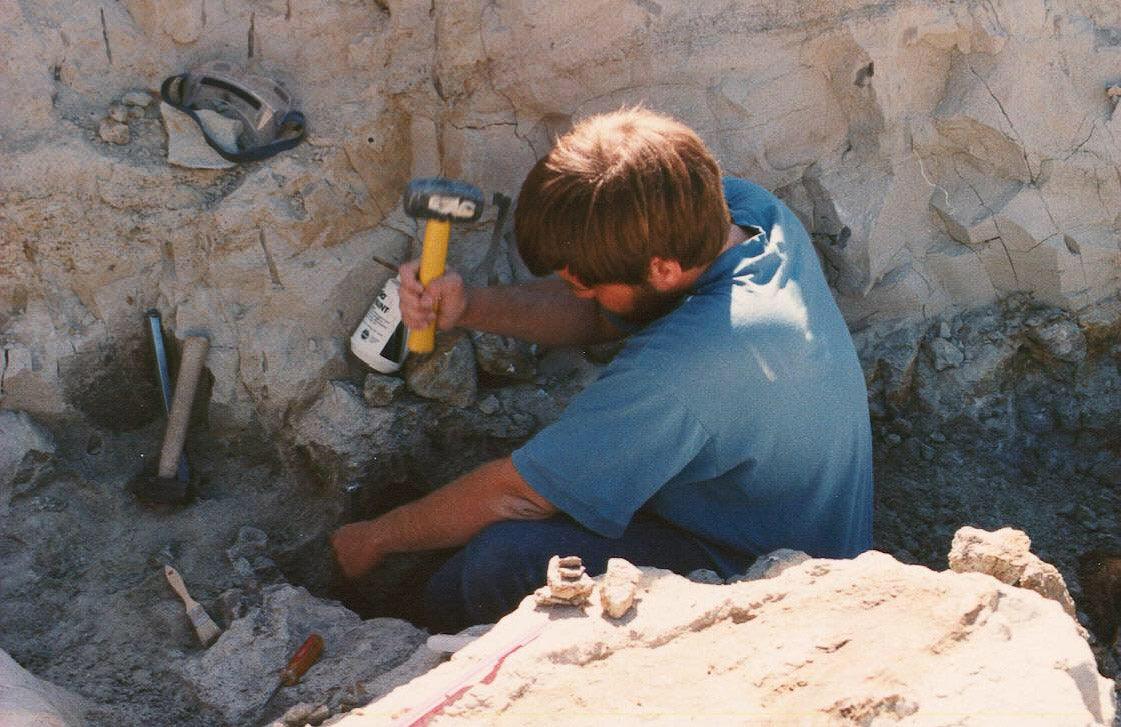 Video Chat with a Paleontologist - Fossil Crates Video Chat with a Paleontologist