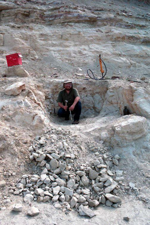 Video Chat with a Paleontologist - Fossil Crates Video Chat with a Paleontologist