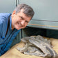 Video Chat with a Paleontologist - Fossil Crates Video Chat with a Paleontologist