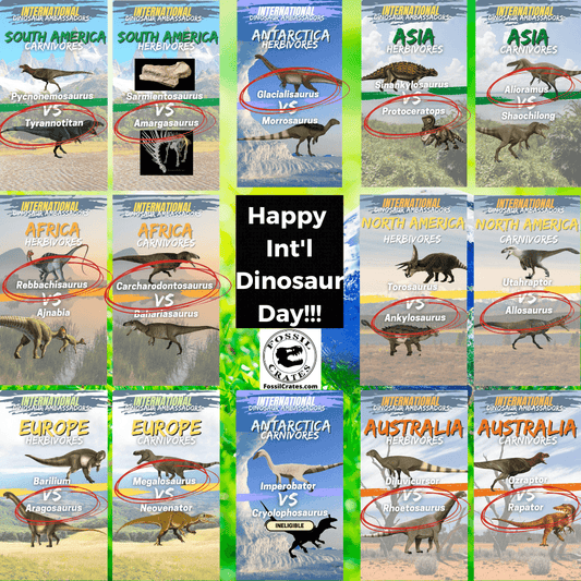 2021 International Dinosaur Ambassadors - Fossil Crates