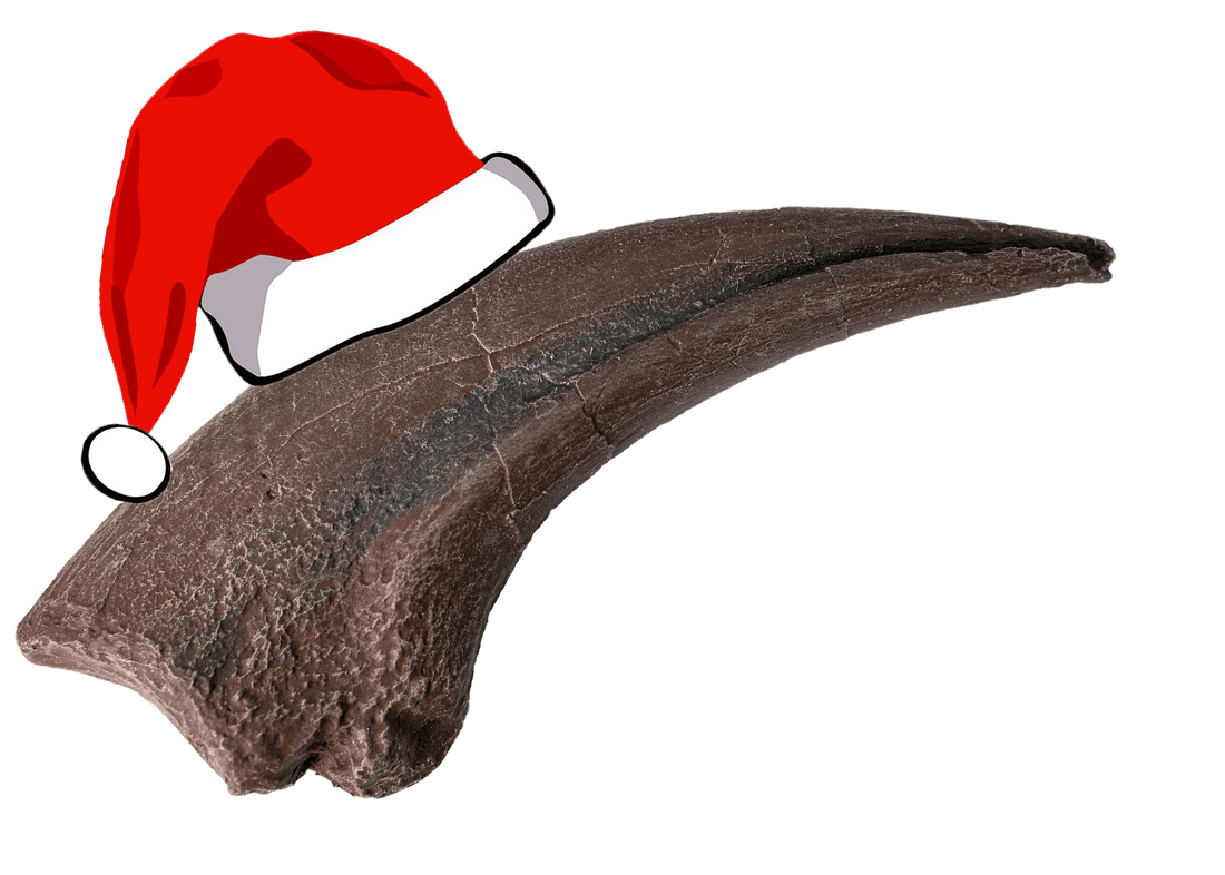 2022 Holiday Gift Guide - Fossil Crates