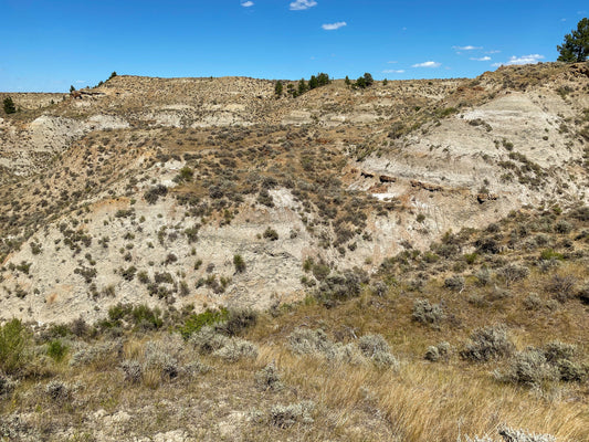 75 million years ago Montana was a swamp and Fossil Crates went on location to check it out!