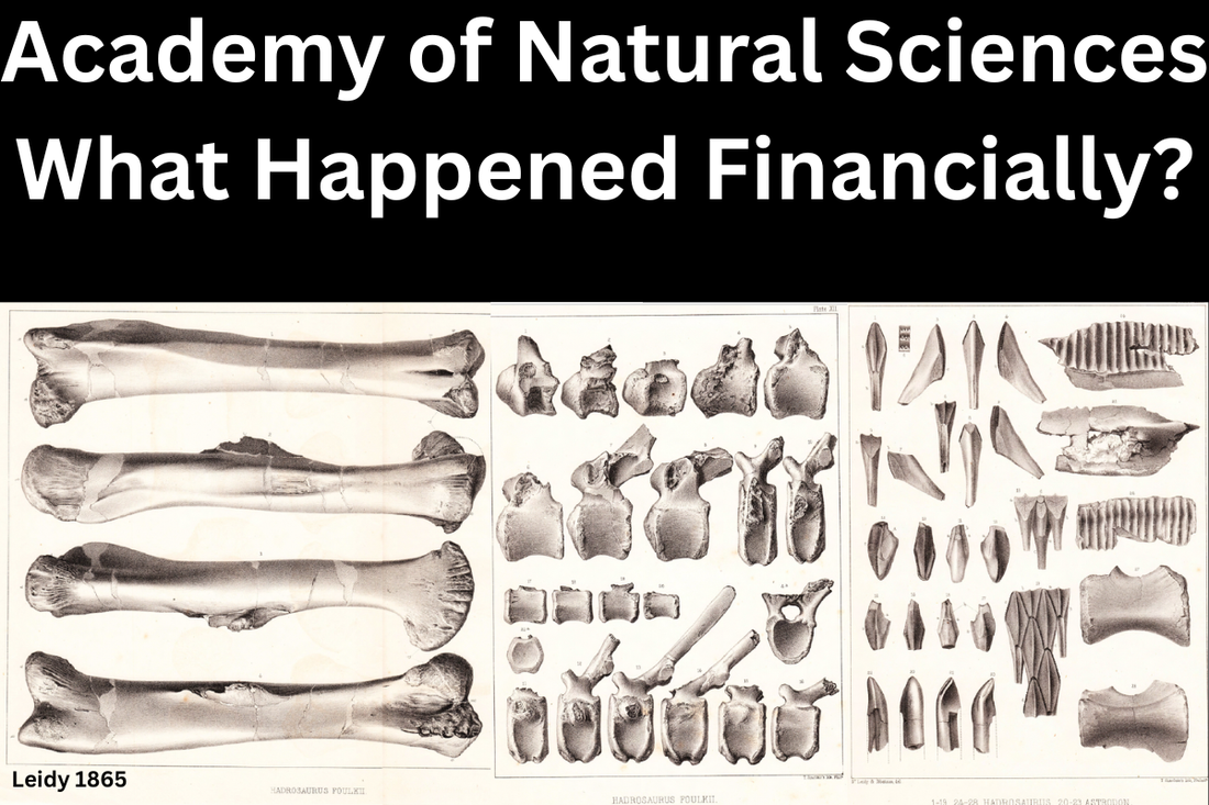The Academy of Natural Sciences - A Financial Peek