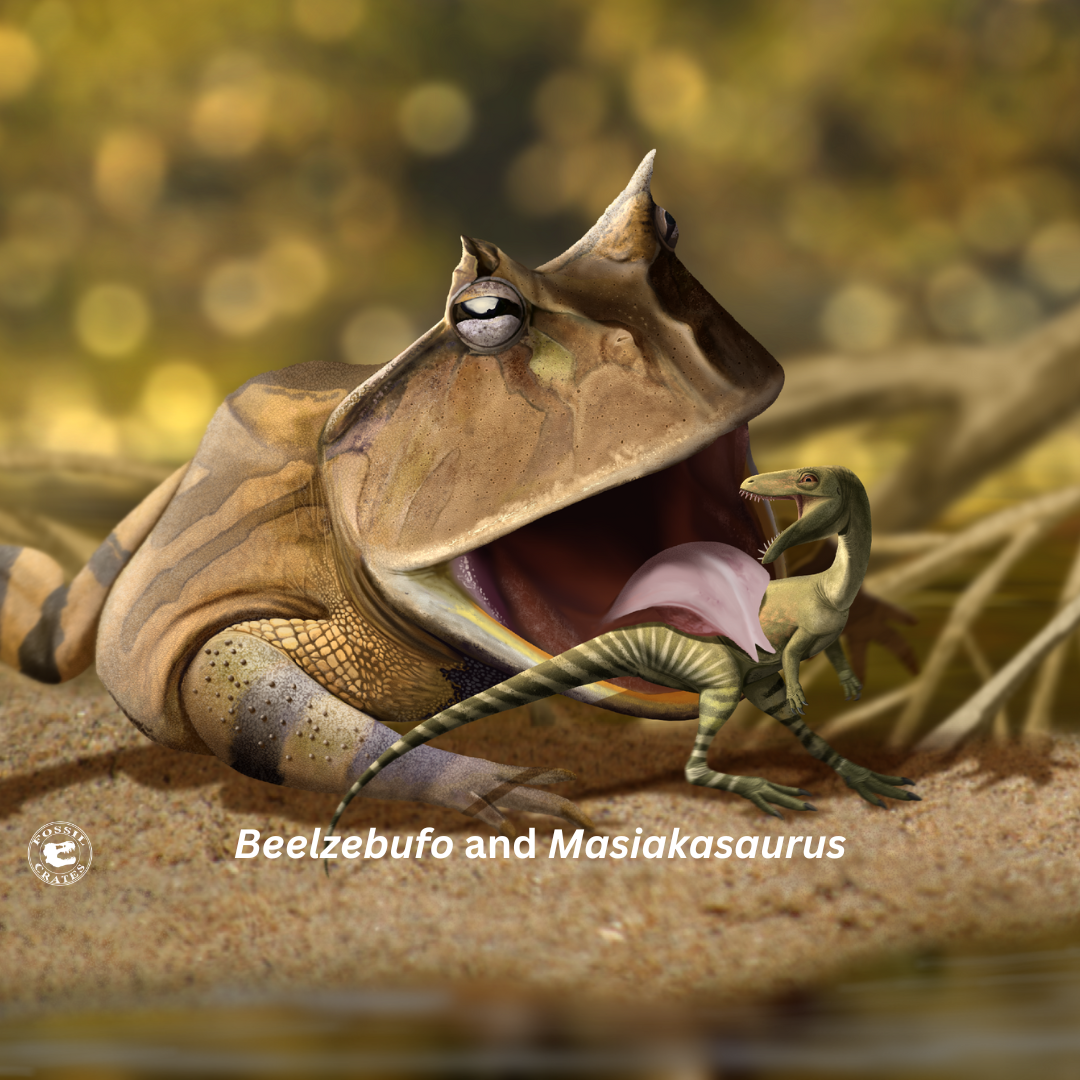 Beelzebufo