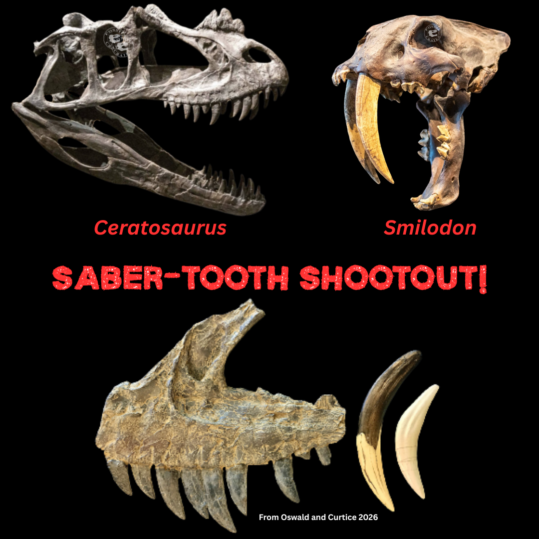Ceratosaurus, saber-toothed theropod?