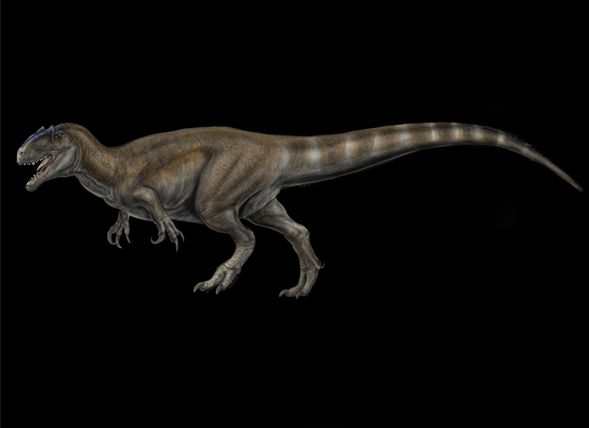 Saurophaganax, 