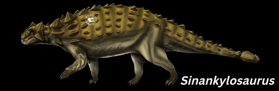 Sinankylosaurus zhuchengensis, the newest addition to the armored dinosaur family!