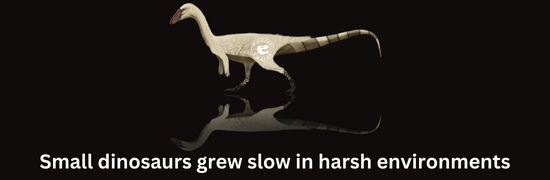 Small dinosaurs grew slower in harsh environments