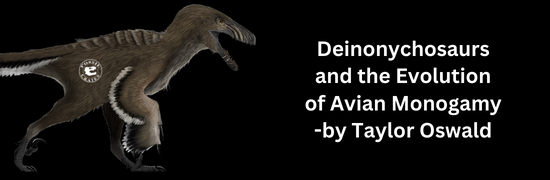 Theories for Behavior in Deinonychosaurs and the Evolution of Avian Monogamy by Taylor Oswald, Brigham Young University Paleontologist - Fossil Crates