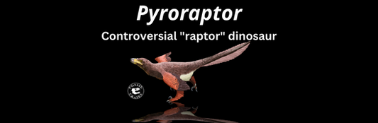 Pyroraptor - real dinosaur or made up for Jurassic World Dominion? - Fossil Crates