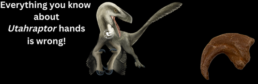 Everything you know about Utahraptor hands is wrong! - Fossil Crates