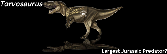 Largest Jurassic Predator?  Meet Torvosaurus! - Fossil Crates
