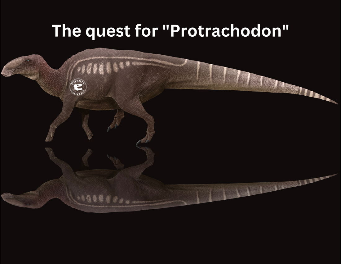 Lambeosaurus Protrachodon