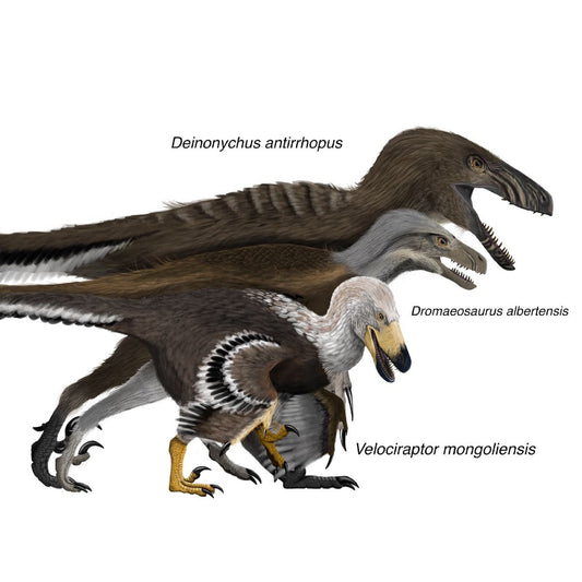 A Turkey's Thanksgiving Family Feast Attendees