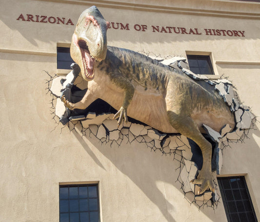 Arizona Museum of Natural History - A Desert Jewel