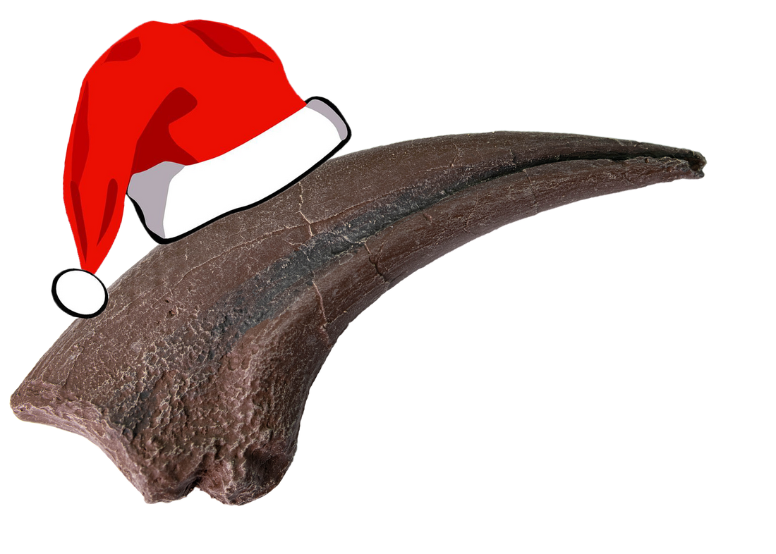 Fossil Crates Gift Guide - Fossil Crates