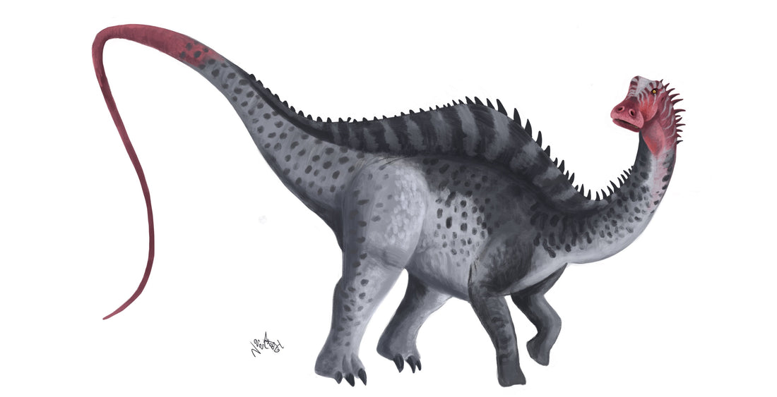 Rebbachisaurus, we'll always have Paris! - Fossil Crates