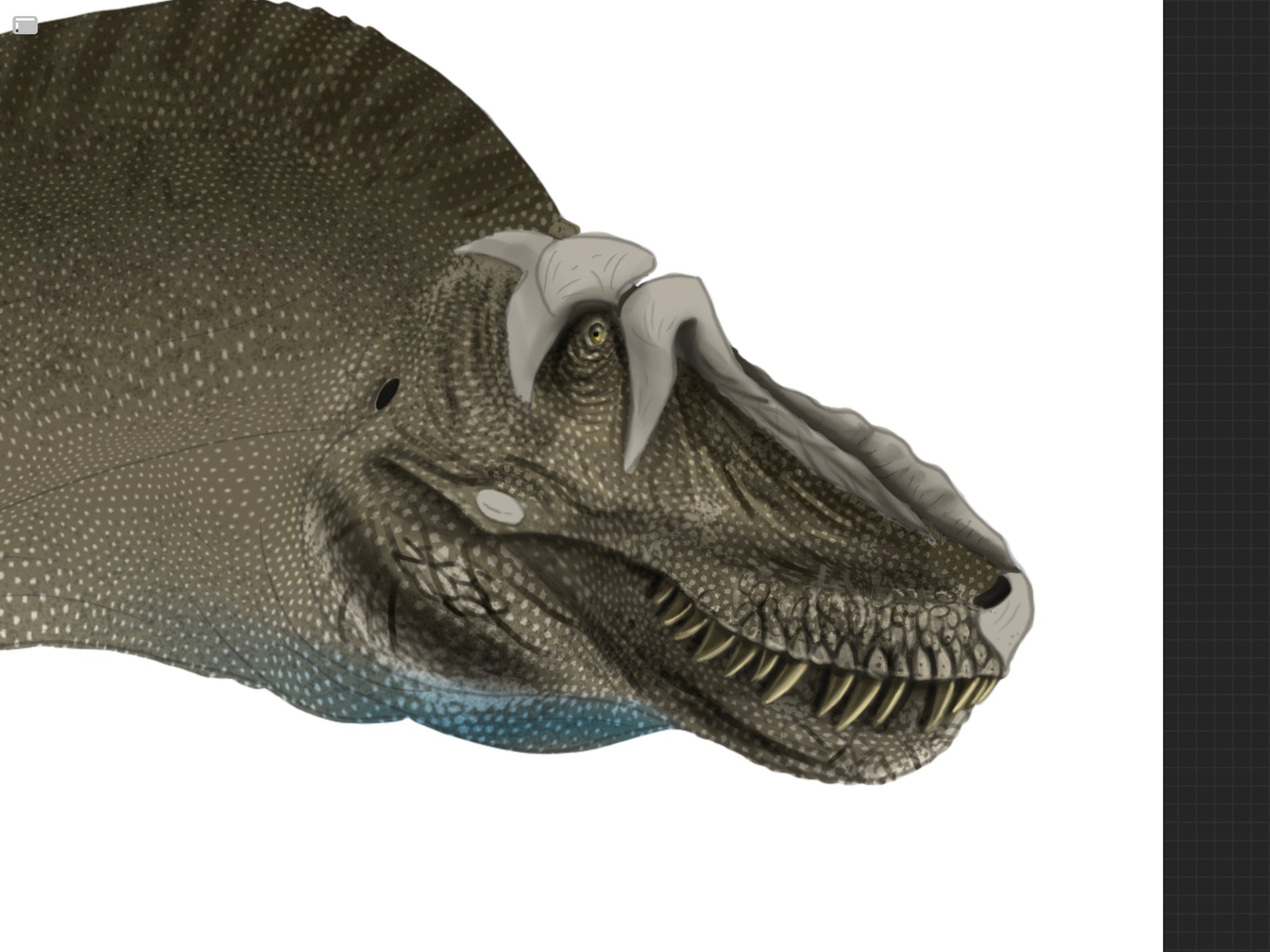 Thanatotheristes degrootorum we hardly knew ya? Fossil Crates