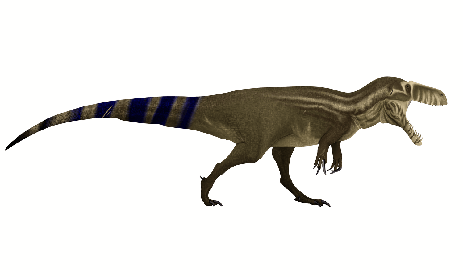 Torvosaurus King of the Jurassic