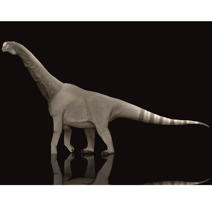 Camarasaurus Paleoart