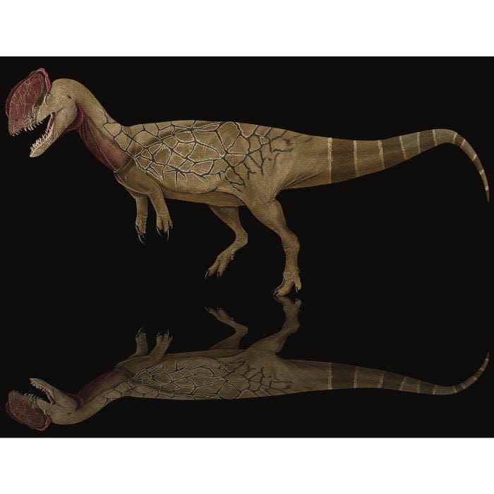Dilophosaurus Paleoart