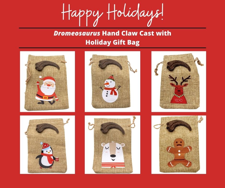 The Dromaeosaurus hand claw cast now comes with a fun and cute Christmas gift bag! Pick from a Santa Claus, Penguin, Snowman, Reindeer, Polar Bear, or Gingerbread.